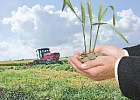Кредитование сезонных полевых работ увеличилось на 33% Кредитование сезонных полевых работ увеличилось на 33%